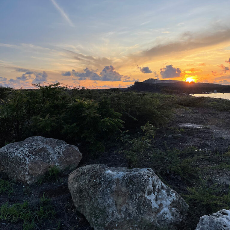 Sollicitatie proces via Trailrun